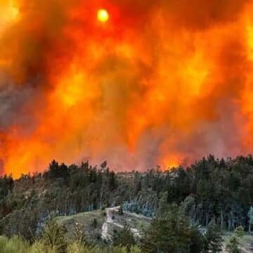 Cáritas Chile llama a solidarizar con afectados por incendios forestales