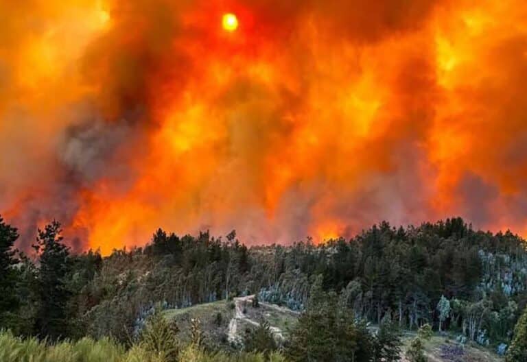 Cáritas Chile llama a solidarizar con afectados por incendios forestales