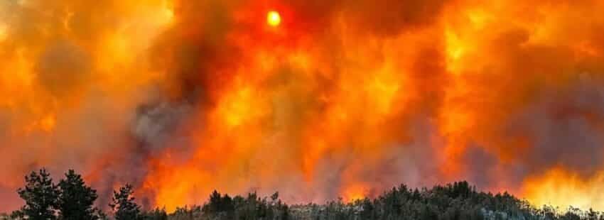 Cáritas Chile llama a solidarizar con afectados por incendios forestales