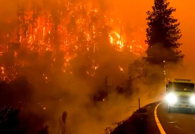 ‘Nuestra Patagonia arde’: Campaña de Oración y Solidaridad frente a los incendios forestales