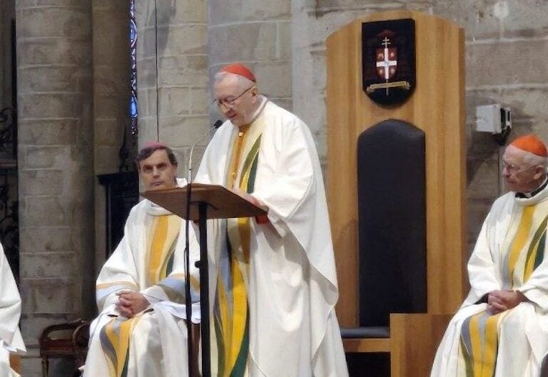Cardenal Parolin: “El cristianismo no ofrece soluciones técnicas, sino que propone valores