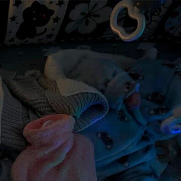 El limosnero papal pone en marcha una nueva colecta de ayuda humanitaria para el invierno ucraniano