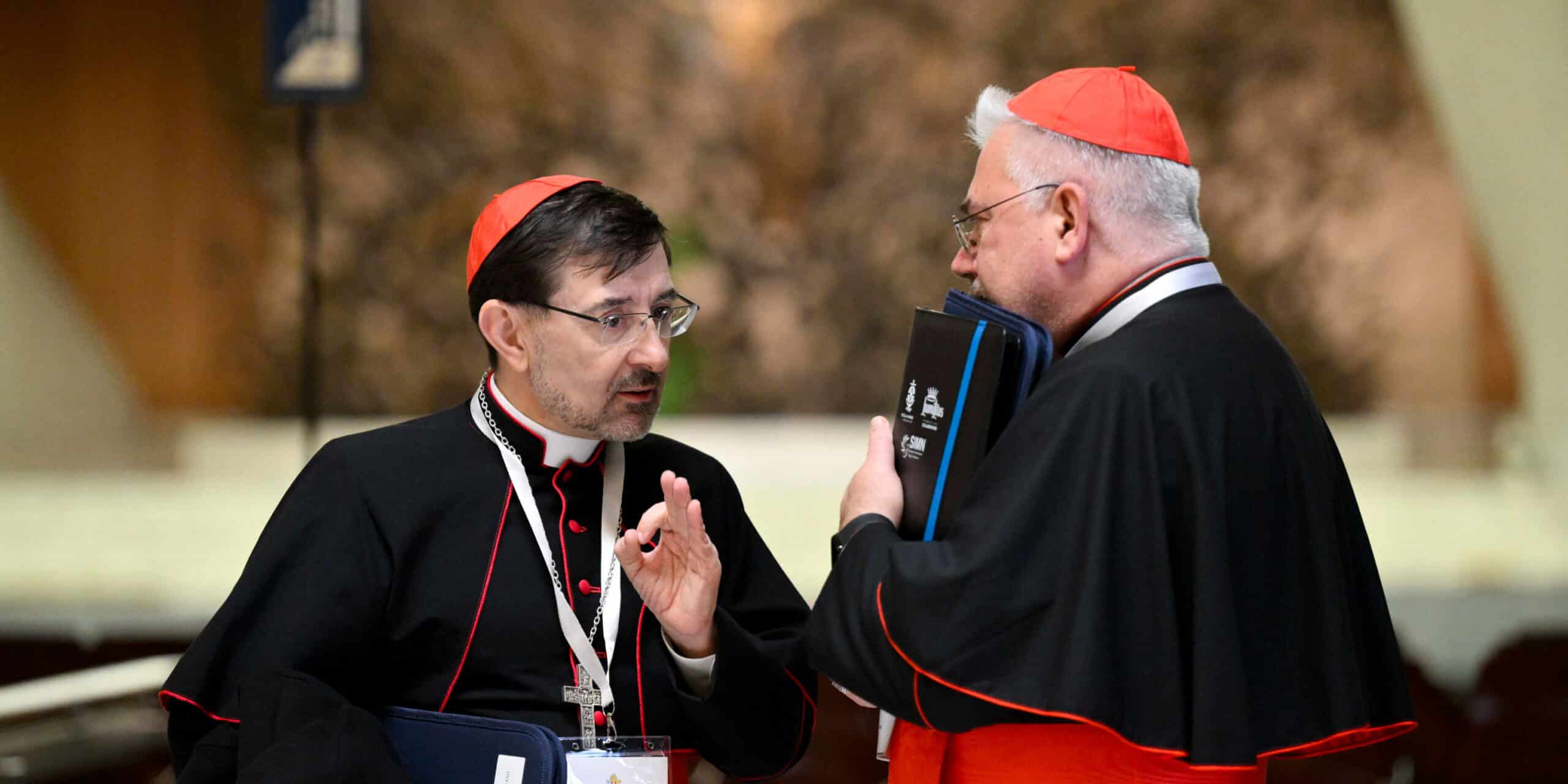 El cardenal José Cobo, con el cardenal Fabio Baggio, durante el consistorio extraordinario