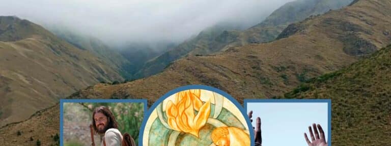 Dialogando… con la vitalidad