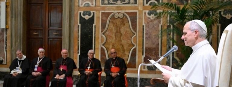 León XIV Academia para la Vida