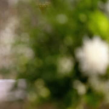 Richard Moth llega al arzobispado de Westminster para “avivar la llama de la fe” en la vida