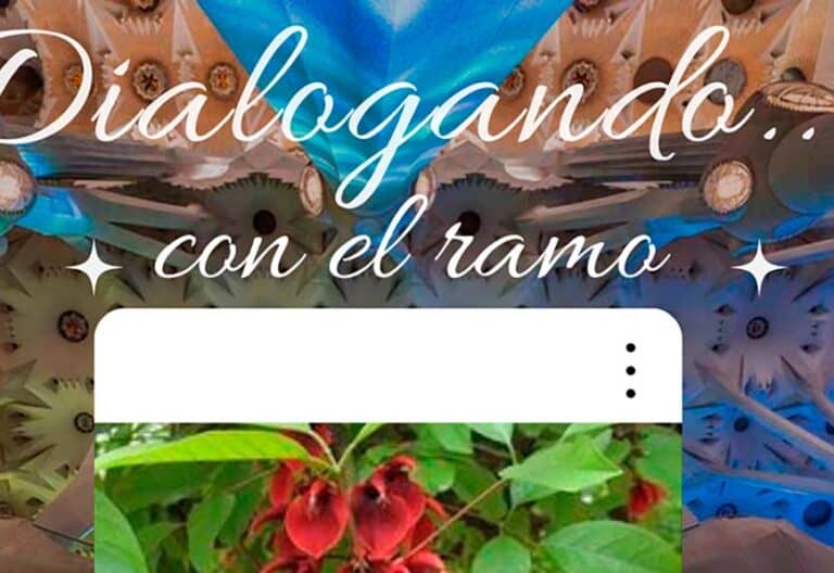 Dialogando… con “el ramo”
