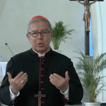 Cardenal Luis José Rueda