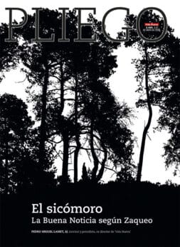 Portadilla del Pliego, nº 3.456