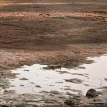 Manos Unidas asiste a más de un millón de personas en 2025 ante la caída de la ayuda