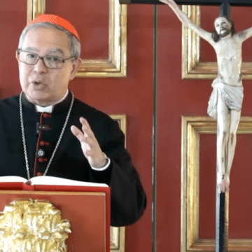 Cardenal Luis José Rueda