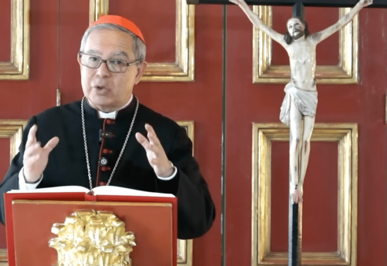 Cardenal Luis José Rueda