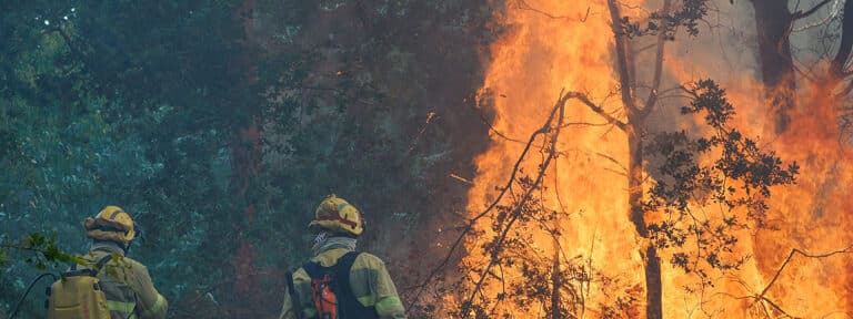 Incendio. Fuego