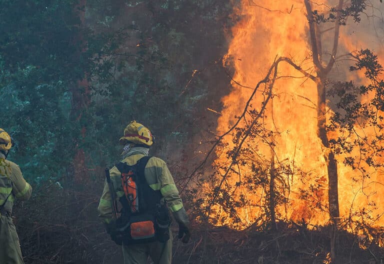 Incendio. Fuego