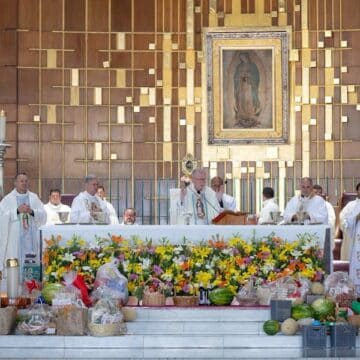 Cardenal Parolin en Basílica