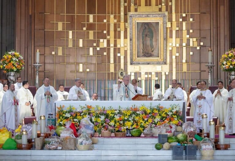 Cardenal Parolin en Basílica