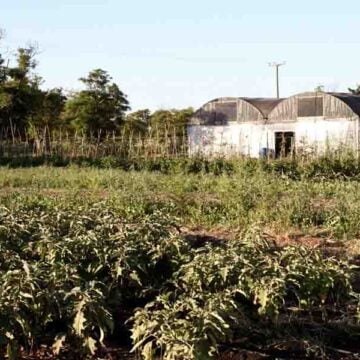 La diócesis de Orán rechazó el proyecto de inviolabilidad de la propiedad privada