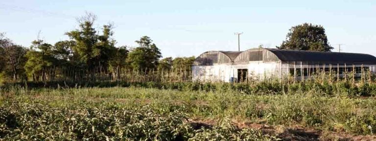 La diócesis de Orán rechazó el proyecto de inviolabilidad de la propiedad privada