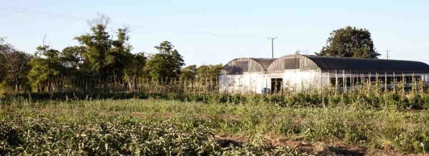 La diócesis de Orán rechazó el proyecto de inviolabilidad de la propiedad privada