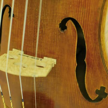 Violín