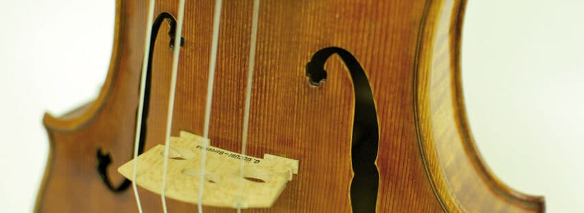 Violín