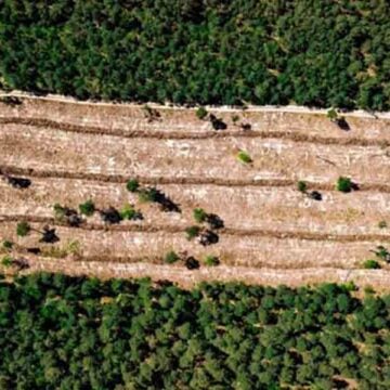 La Iglesia argentina pidió velar por la defensa del territorio
