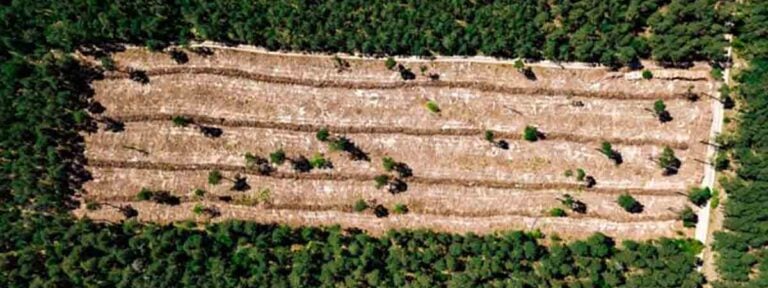 La Iglesia argentina pidió velar por la defensa del territorio