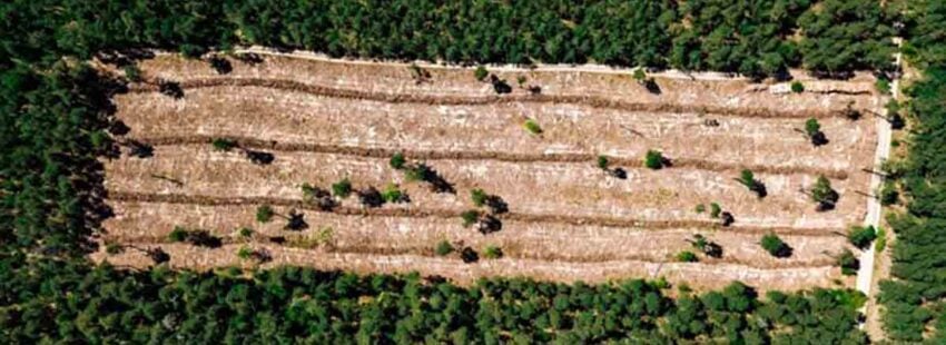 La Iglesia argentina pidió velar por la defensa del territorio