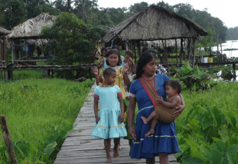 Indigenas venezolanos